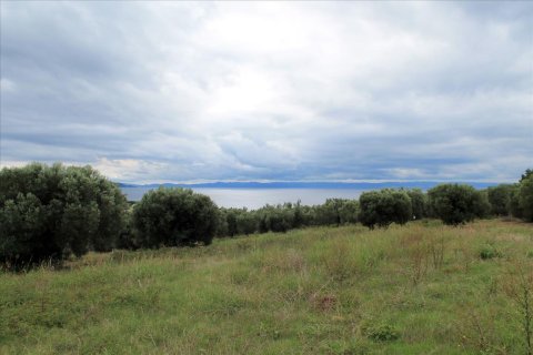 16500m² Land à Chalkidiki, Greece No. 60080 1