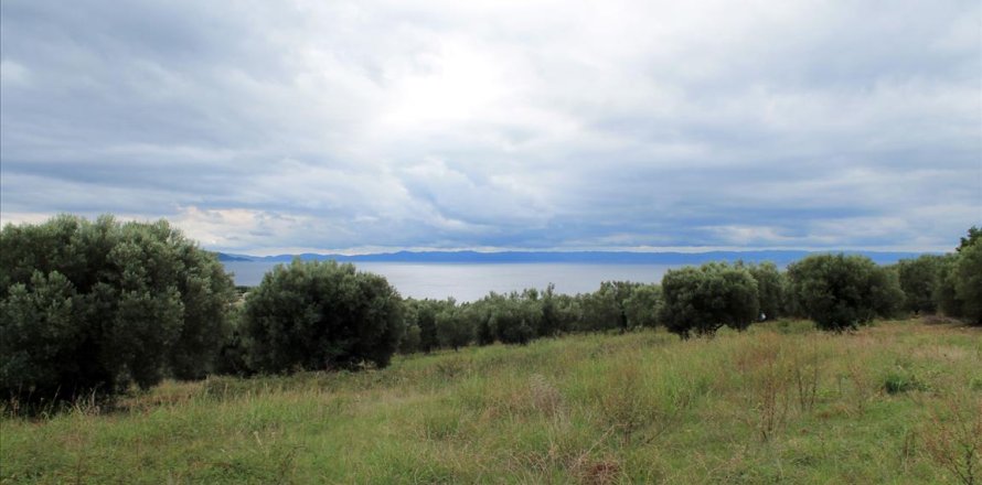 16500m² Land à Chalkidiki, Greece No. 60080