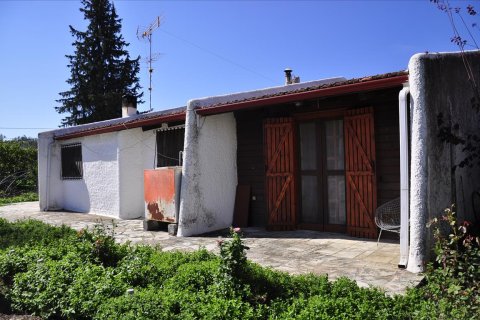 115m² Negocio en Corfu, Greece No. 60079 7