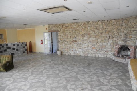 5700m² Hotel in Chalkidiki, Greece No. 60081 7