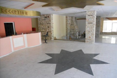 5700m² Hotel en Chalkidiki, Greece No. 60081 5