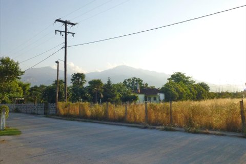 5859m² Land in Pieria, Greece No. 60302 1