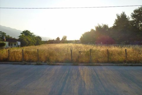 5859m² Land in Pieria, Greece No. 60302 3