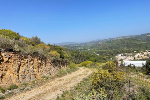 10000m² Land en Chania, Greece No. 54635 4