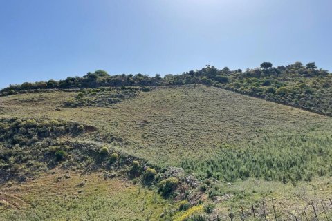 10000m² Land in Chania, Greece No. 54635 1