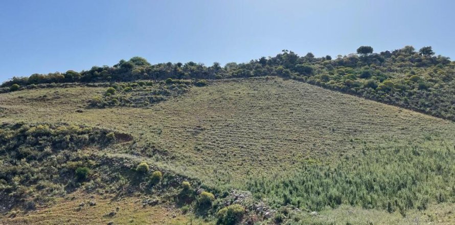 10000m² Land in Chania, Greece No. 54635