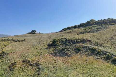 10000m² Land in Chania, Greece No. 54635 3