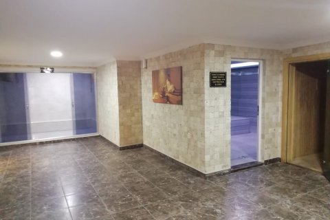 2+1 Penthouse à Kestel, Turkey No. 14308 19