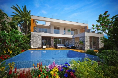 4 bedrooms Villa in Paphos, Cyprus No. 36936 4