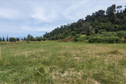 3928m² Land en Chalkidiki, Greece No. 56560 1