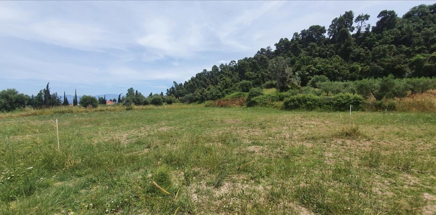 3928m² Land en Chalkidiki, Greece No. 56560