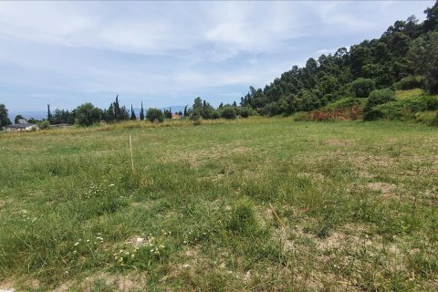 3928m² Land à Chalkidiki, Greece No. 56560 4