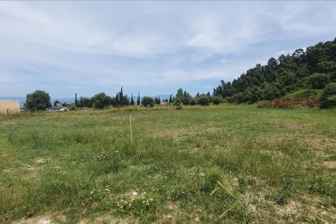 3928m² Land en Chalkidiki, Greece No. 56560 2