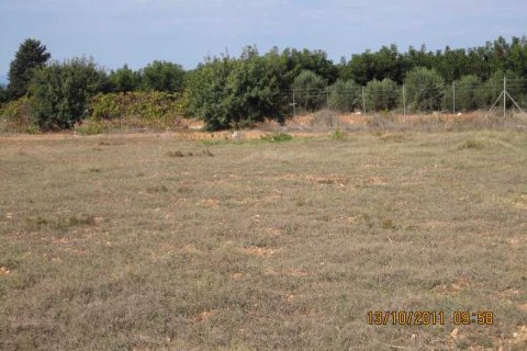 11273m² Land à Tremithousa, Cyprus No. 36205 2