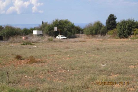 11273m² Land à Tremithousa, Cyprus No. 36205 3