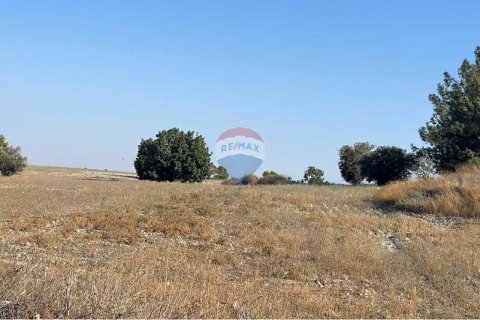 5352m² Land in Alethriko, Cyprus No. 64431 6