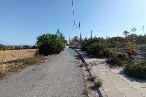 5352m² Land in Alethriko, Cyprus No. 64431 3