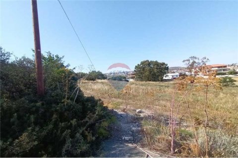 5352m² Land in Alethriko, Cyprus No. 64431 5