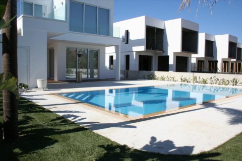 Studio Villa in Larnaca, Cyprus No. 49726 6