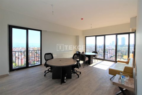 4+1 Apartment en Istanbul, Turkey No. 10905 11