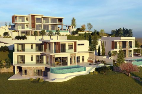 Studio Villa in Paphos, Cyprus No. 51495 6