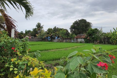 2 dormitorios Villa en Canggu, Indonesia No. 23023 10