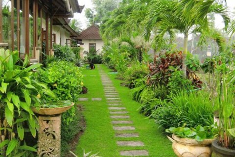 2 bedrooms Villa in Canggu, Indonesia No. 23023 8