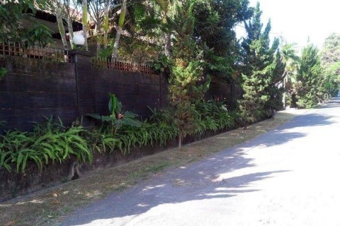 7 bedrooms House in Denpasar, Indonesia No. 23012 11