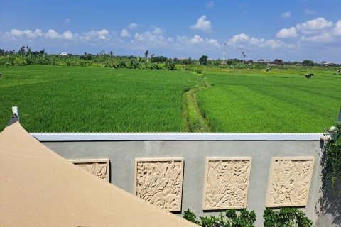 3 dormitorios Villa en Ubud, Indonesia No. 23357 2