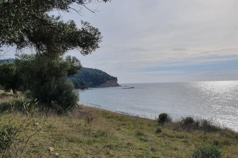 10000m² Land in Chalkidiki, Greece No. 56683 7