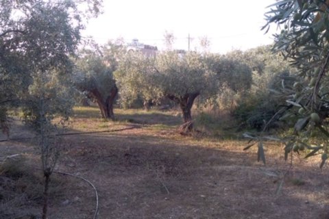 1307m² Land à Argolis, Greece No. 56689 7