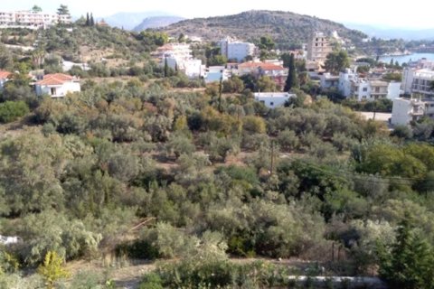 1307m² Land in Argolis, Greece No. 56689 3