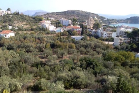 1307m² Land à Argolis, Greece No. 56689 4