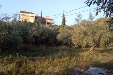 1307m² Land en Argolis, Greece No. 56689 8