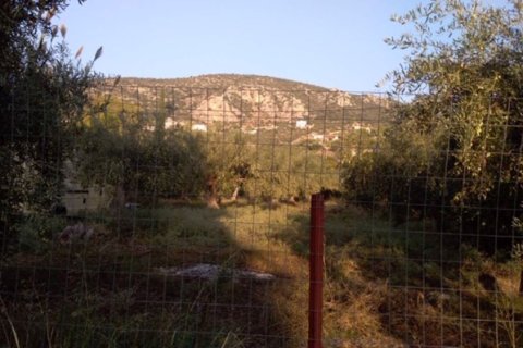 1307m² Land en Argolis, Greece No. 56689 9