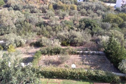 1307m² Land à Argolis, Greece No. 56689 1