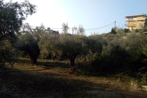 1307m² Land in Argolis, Greece No. 56689 10