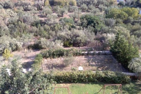 1307m² Land en Argolis, Greece No. 56689 2