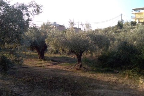 1307m² Land à Argolis, Greece No. 56689 6