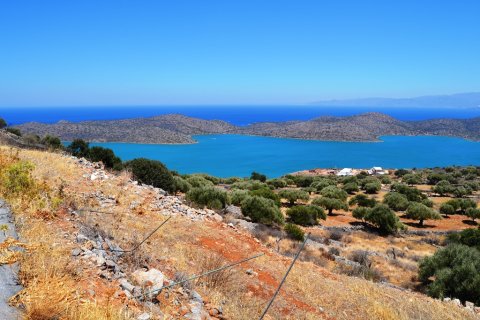 5695m² Land in Agios Nikolaos, Greece No. 58022 1