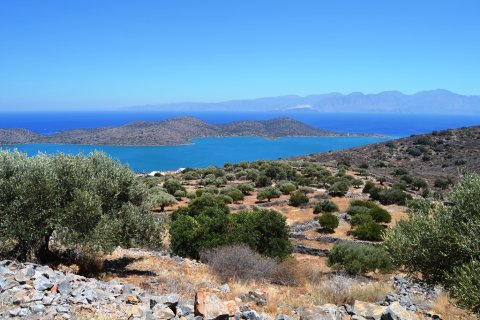 5695m² Land à Agios Nikolaos, Greece No. 58022 2