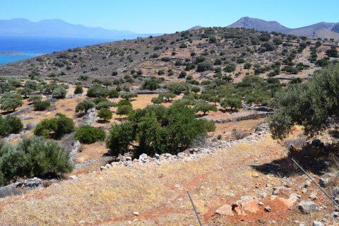 5695m² Land in Agios Nikolaos, Greece No. 58022 4