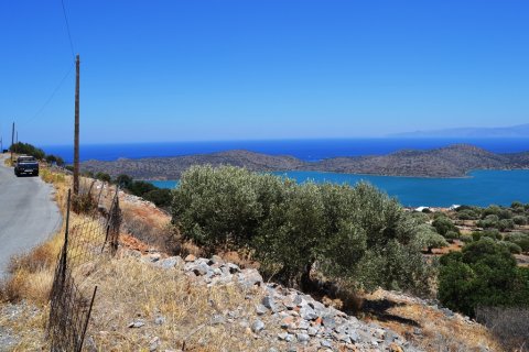 5695m² Land in Agios Nikolaos, Greece No. 58022 3