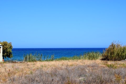 7756m² Land in Rethymno, Greece No. 57897 8