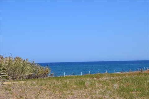 7756m² Land in Rethymno, Greece No. 57897 4