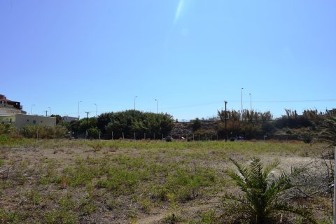 7756m² Land in Rethymno, Greece No. 57897 6