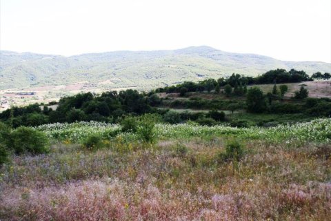 23750m² Land in Polygyros, Greece No. 59617 8