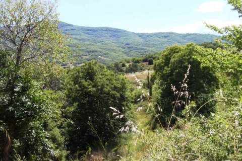 23750m² Land in Polygyros, Greece No. 59617 7