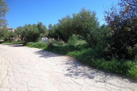 3783m² Land en Lasithi, Greece No. 59419 2