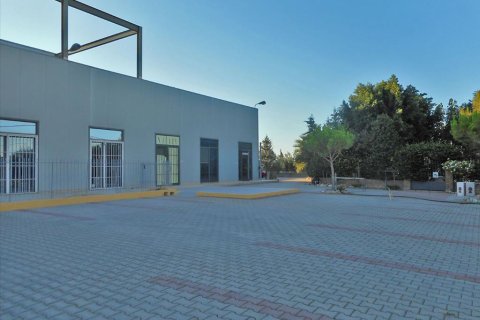 1400m² Business in Koropi, Greece No. 59420 1